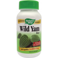 Wild Yam Reducerea spasmelor uterine, gastro-intestinale, renale şi bronşice
